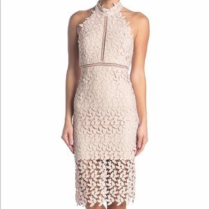 Bardot Gemma Halter Lace Sheath Dress